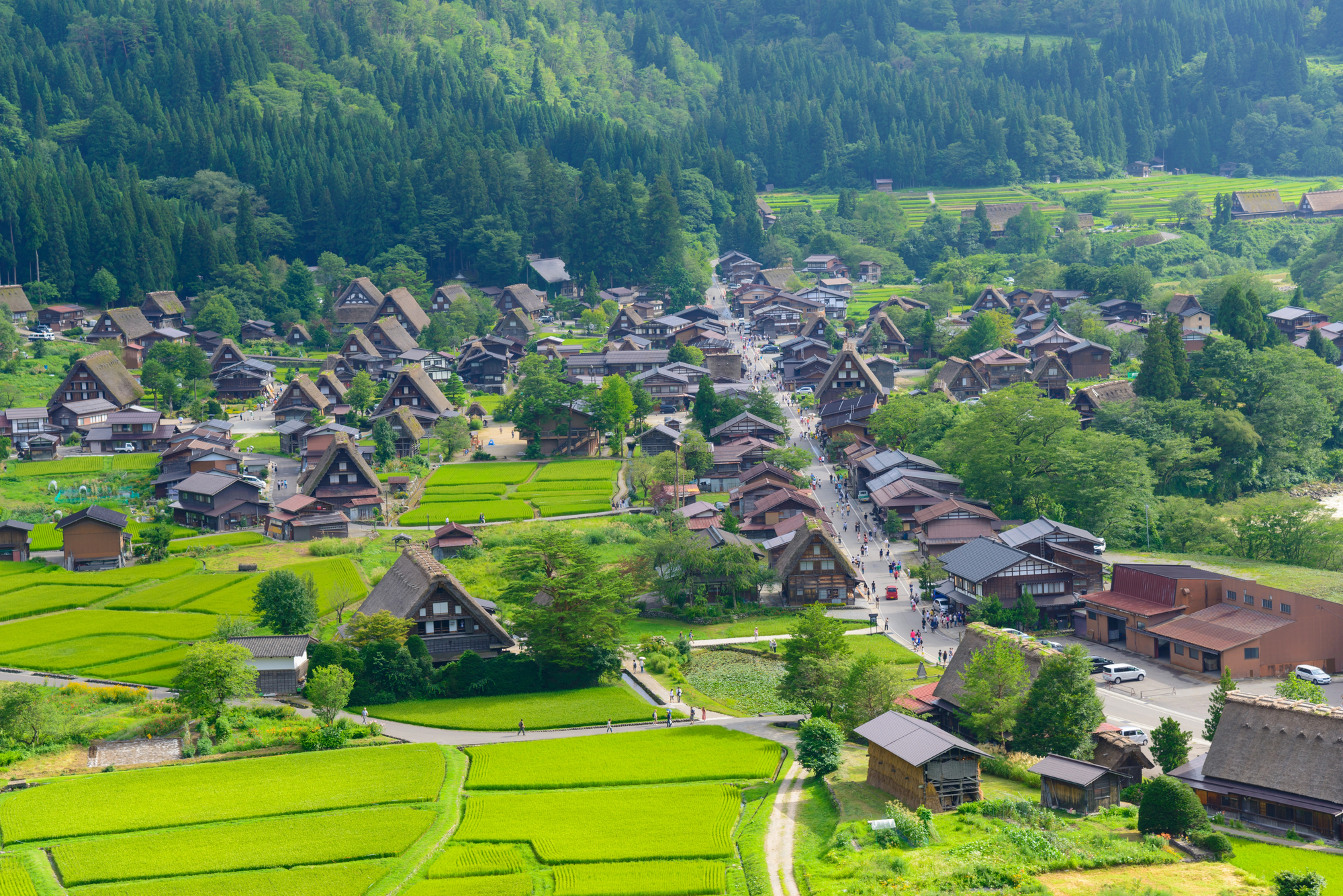 An aerial view of a village in japan.