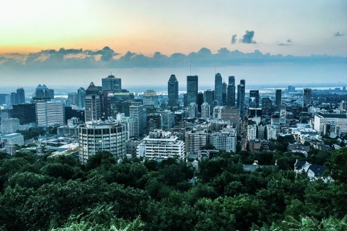A view of the city of quebec from the top of a hill.