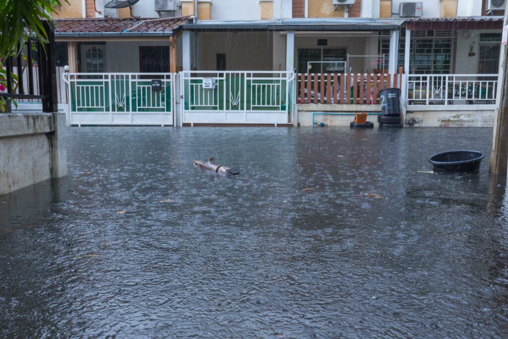 A dog swimming in a flooded street.