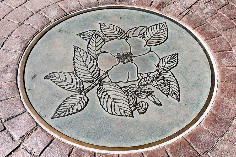 A manhole cover with a flower on it.