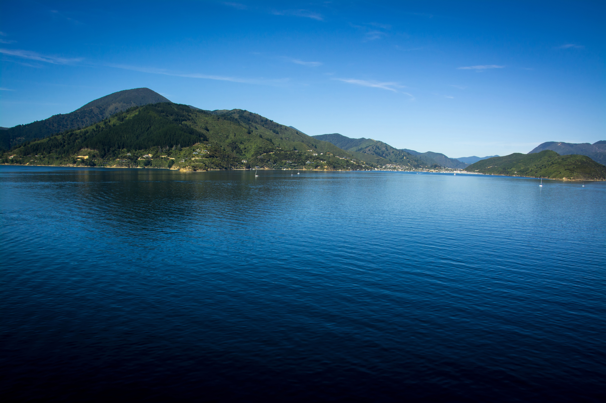 Marlborough Sounds seen from ferry from Wellington to Picton, Ne