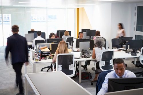 A group of people working at desks in an office.