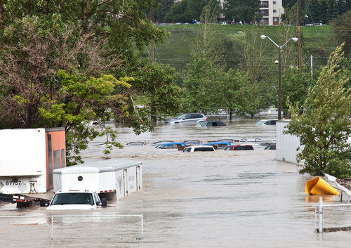 A lot of cars parked in a flooded area.