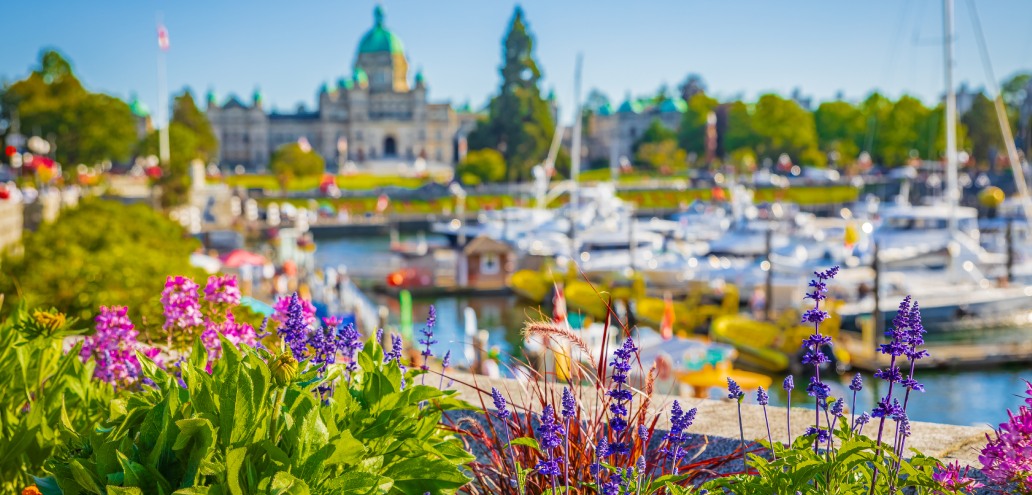 Harbor view with flowering plants in the foreground and a domed building in the background on a sunny day.