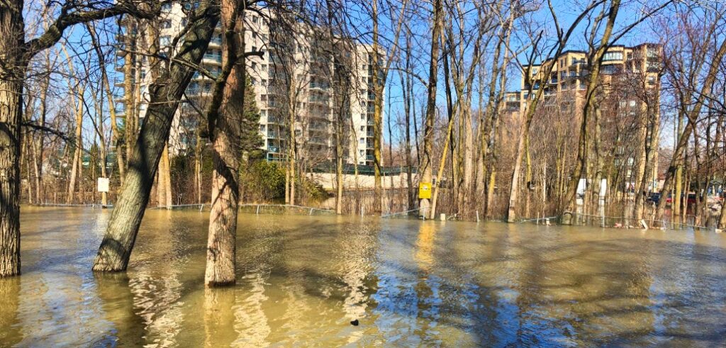 Floodwaters, swollen by climate change, encompass trees in an urban area with buildings in the background.